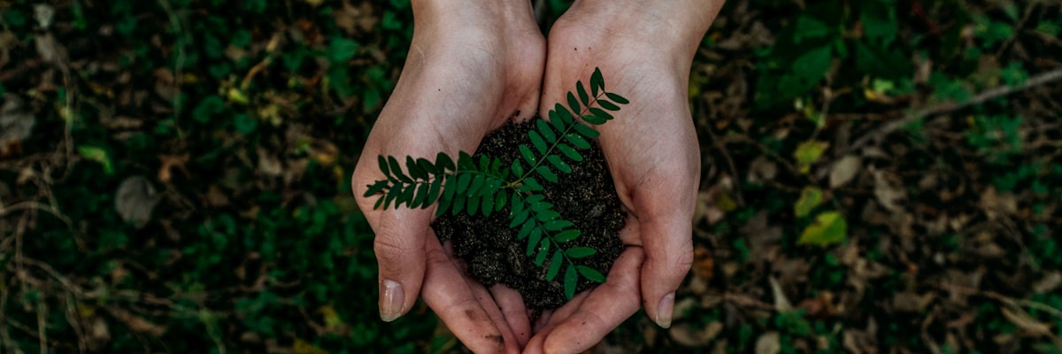 绿色城市公园中人们骑行自行车和散步的鸟瞰图，展示绿色出行方式